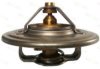BIZON 323378 Thermostat, coolant